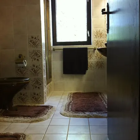 Apartment Maslina *